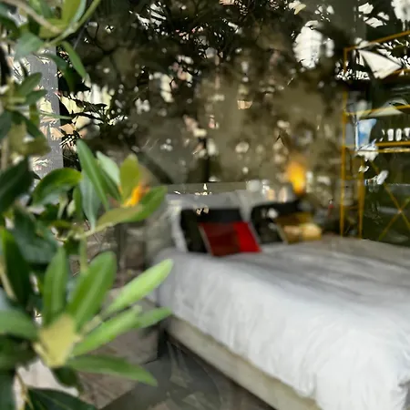 Daen'S Greenhouse-3